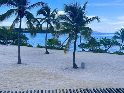 C203 - Sapphire Beach - Sapphire Gem VI (34)