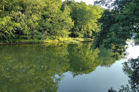 c35cd129-05af-4a49-98e9-b0e2b6489cd4