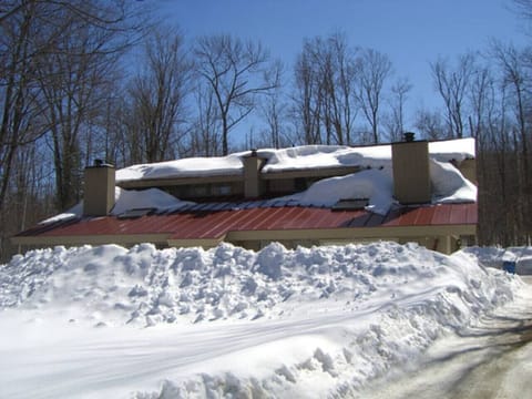 Bluebird day  after a wintery March