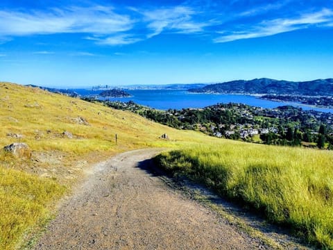 Wander sunlit hillside trails and soak in sweeping bay views