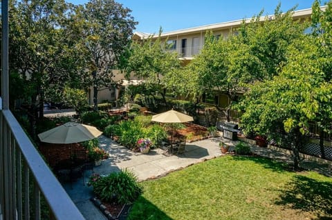 Breathe in calm garden views across a sunny, spacious courtyard.