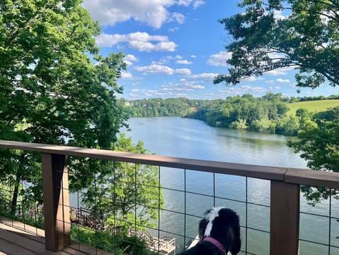 Bird watchers paradise.