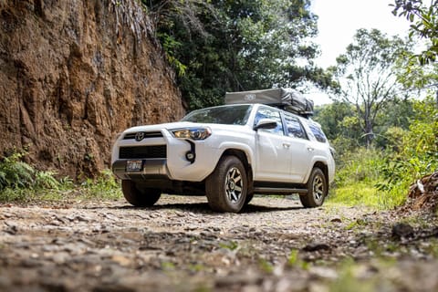 Take this vehicle and be anywhere to enjoy your Kaua’i trip