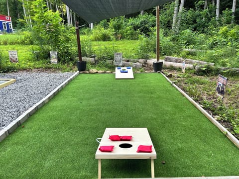 How about a game of corn hole.