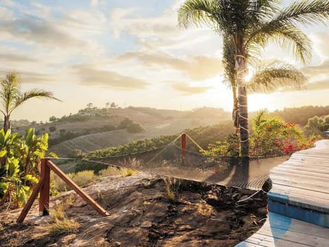 Cargo Net: Built to enjoy relaxing moments overlooking the sunrise and sunsets. 400 lb weight limit.