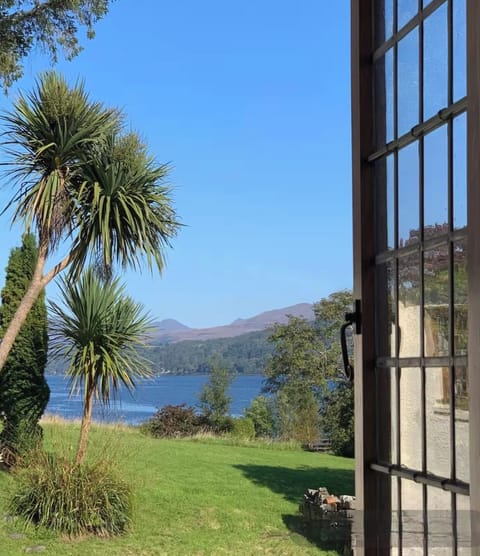 View from the kitchen