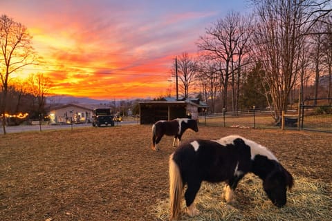 Sunsets with Maui and Moana are the BEST!