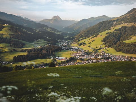 Mountainous Landforms, Mountain, Hill, Highland, Natural Landscape, Landscape, Mountain Range, Valley, Hill Station, Grassland