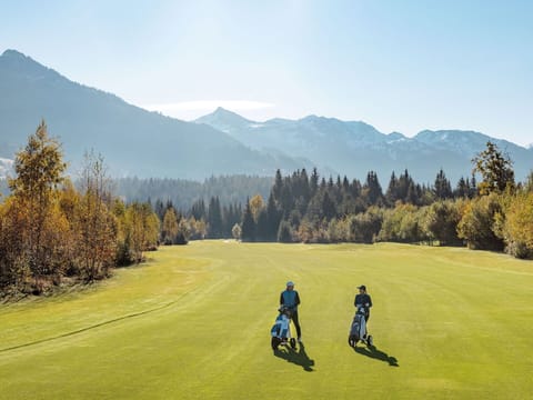 Mountainous Landforms, Tree, Mountain, Highland, Hill, Golf Course, Landscape, Grassland, Hill Station, Recreation