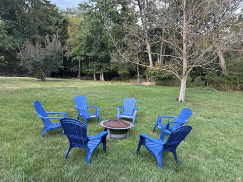 Fire pit and chairs