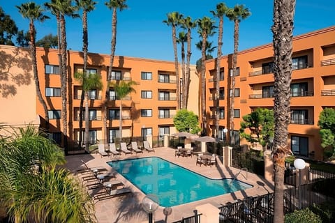 Dive into sunlit poolside relaxation beneath swaying palms.