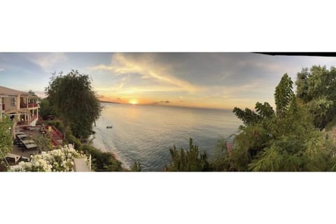 Pano view