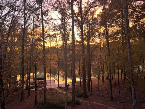 View from back porch