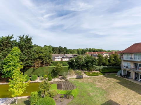 Shrub, Residential Area, Garden, Groundcover, Lawn, Landscaping, Estate, Yard, Suburb, Park