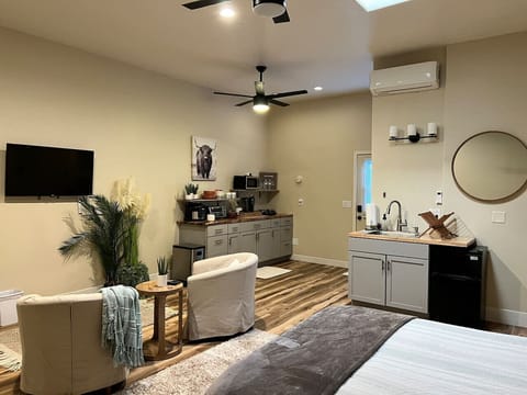 Studio Style - Bed, Seating, TV, Kitchenette, Mini Split, Door to Backyard Seating and Firepit (PLEASE ASK ABOUT USING FIREPIT)