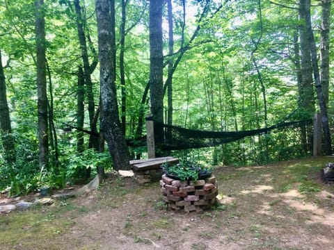 Hammock- backyard