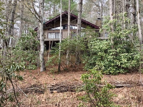 Front cabin deck view