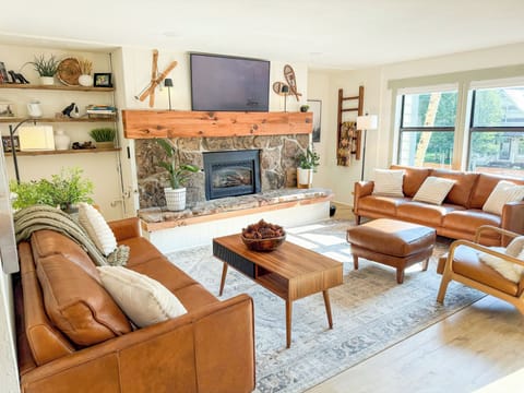 Living Room with Gas Fireplace and Sleeper Sofa
