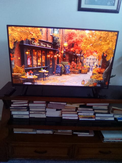 Enjoy a wonderful time watching movies with family & Friends or Read a good book