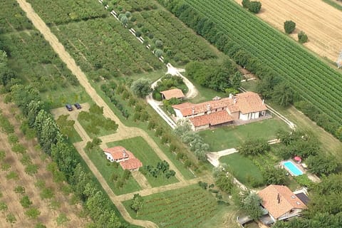 Autumn, Spring, Summer