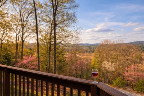  "view of the mountains is lovely, house is well maintained."-Ashley Apr26