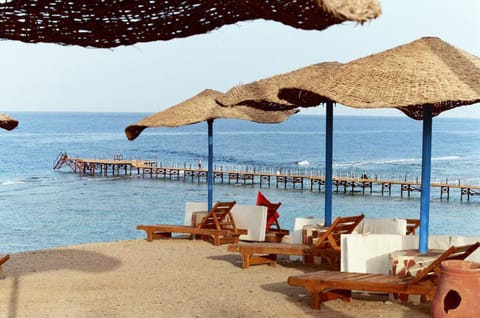 Unwind on cushioned loungers beneath breezy woven shade umbrellas