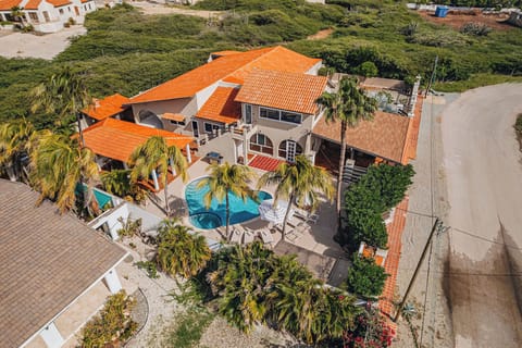Elevated drone view highlighting the villa, pool, and outdoor spaces