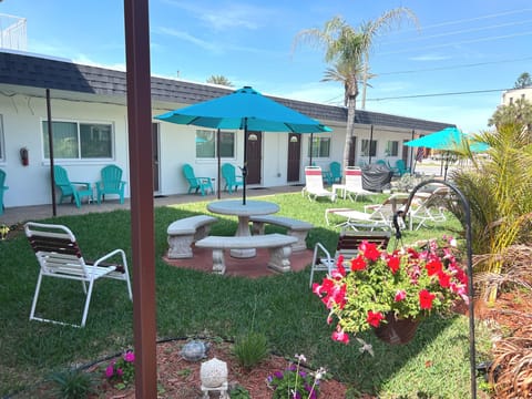 Cute Courtyard with loungers, tables & a grill