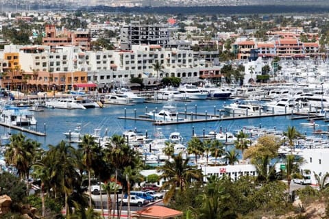 Marina in Cabo