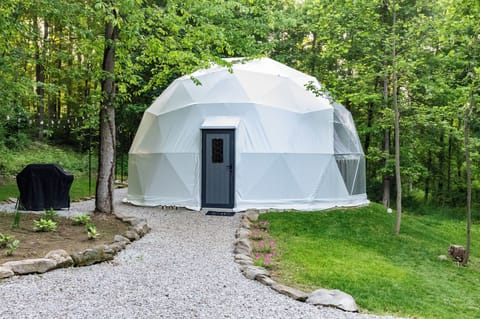 Welcome to Sycamore Dome!