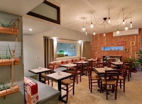 Settle in for relaxed bites beneath warm, glowing pendant lights.