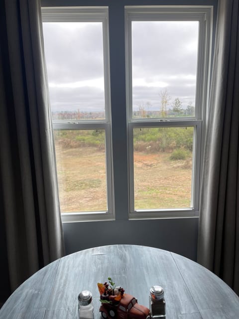 Views from dining table