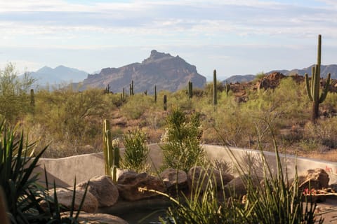 Red Mountain in the distance and Hawes trails just beyond our patio and pool.