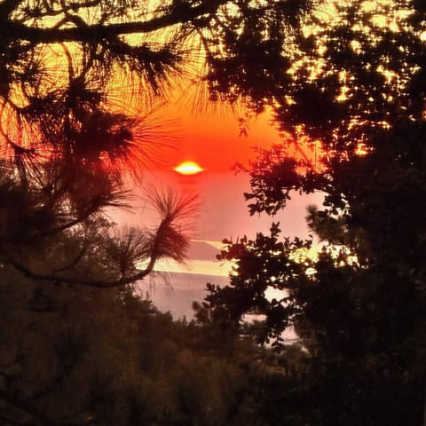 Sunset view from dining room. 