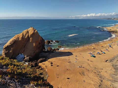 Santa Cruz beaches