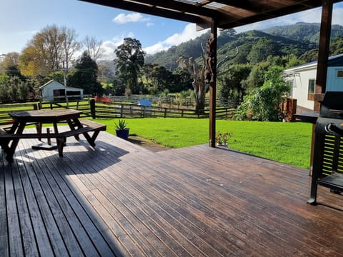 Back Deck Area