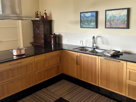 Main House Upper Level - Kitchen, dishwasher, induction cooktop.