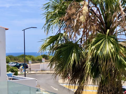 Enjoy the sea view from the terrace