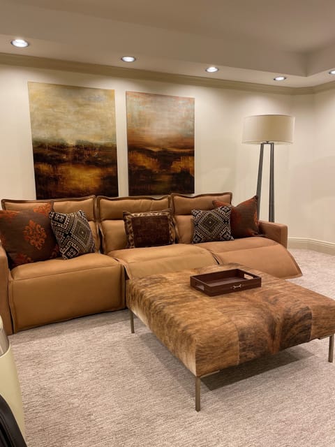 Lower level media room