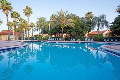 Float peacefully in the expansive pool framed by palms.