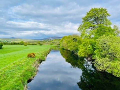 beautiful surroundings 