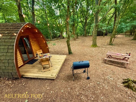 Picnic table and BBQ
