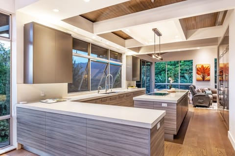 Chef-style kitchen with massive island, integrated storage, and wraparound nature views.