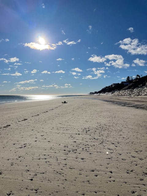 Beach looking south