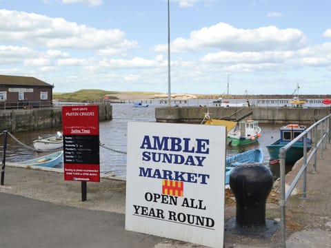 Amble Harbour 
