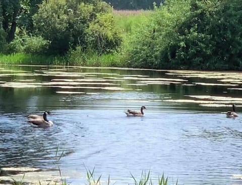 You can relax and enjoy the water view of the beautiful 5 acre pond!