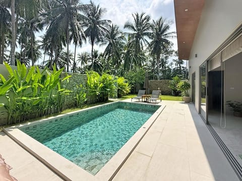 the natural salted swimming pool facing the coconuts tree and totally private 