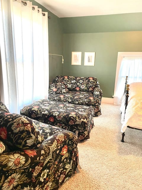 Plush Sofas that can be used as a sofabed