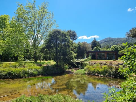 Pond to "Go With The Flow"