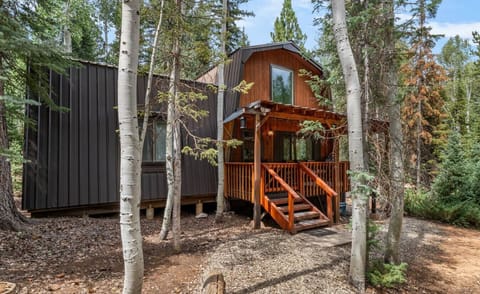 A welcoming woodland retreat surrounded by peaceful forest scenery.